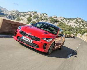Kia Stinger Red Dynamic  (8)